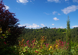 Landscapes of Southern Ardèche