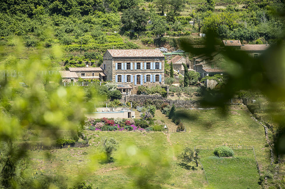 Paysages en terrasse du sud Ardèche